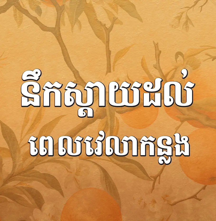 khimsoft f1