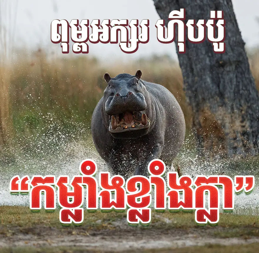 Khimsoft Hippo